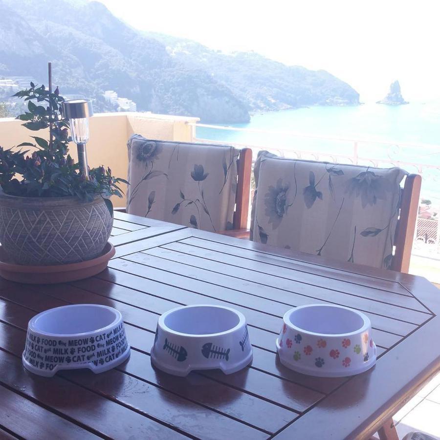 Natalia Apartment B With Panoramic Sea Views Of Agios Gordios Bay Екстер'єр фото
